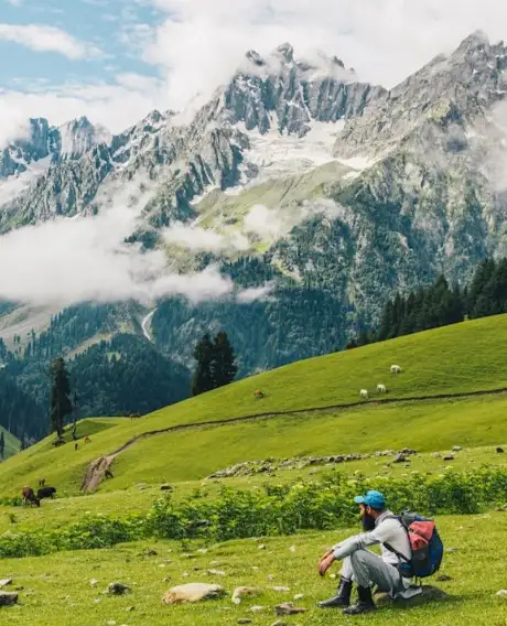 Kashmir